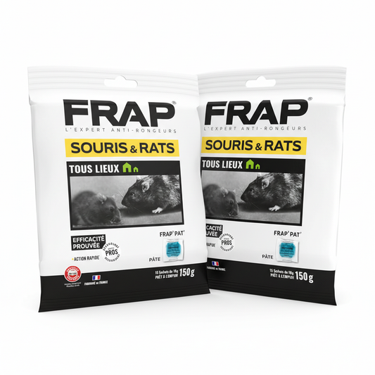 Frap Pat Souris et Rat
